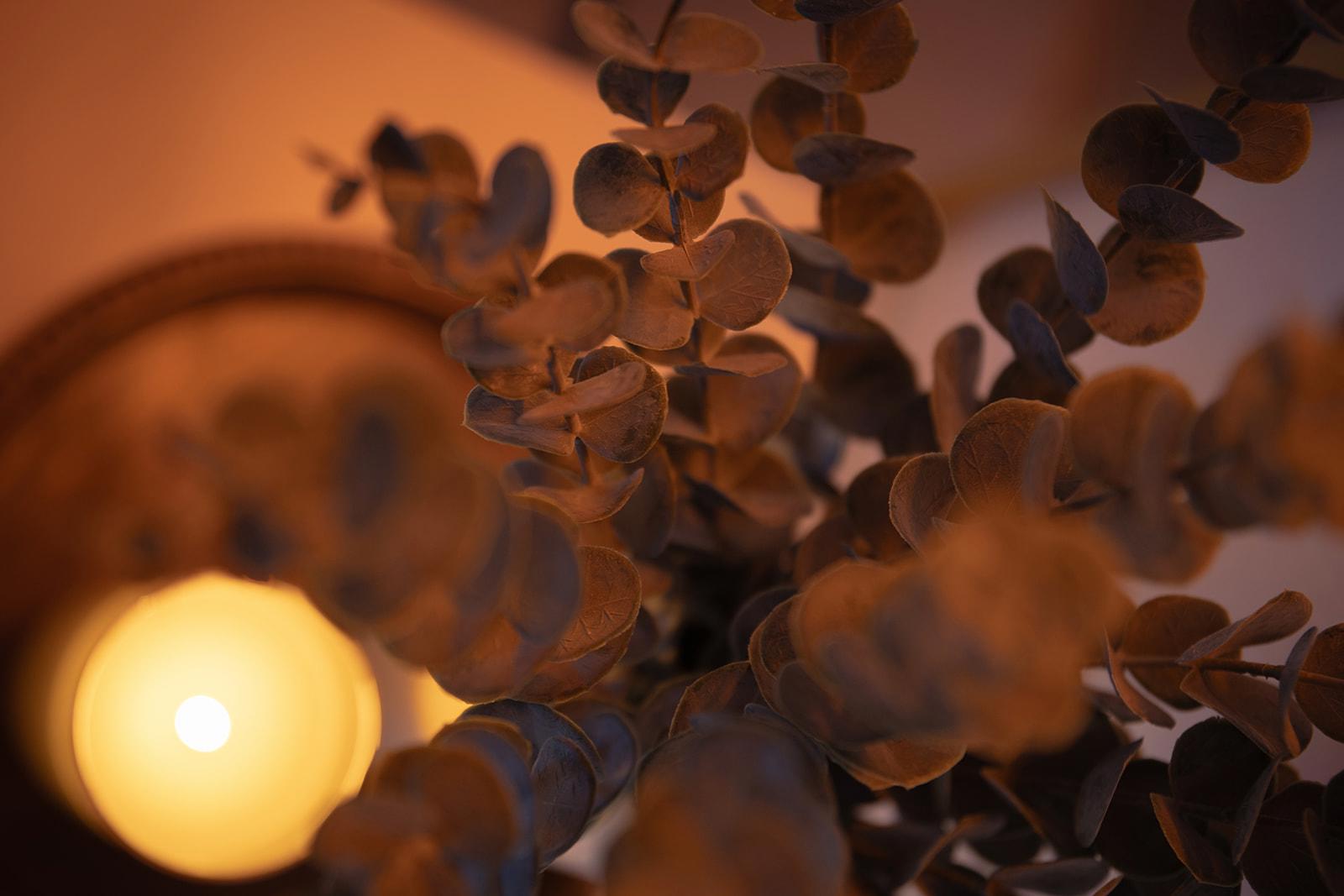 unnamed image